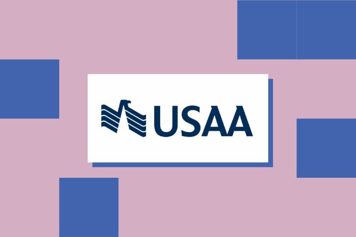 Does usaa do student loans