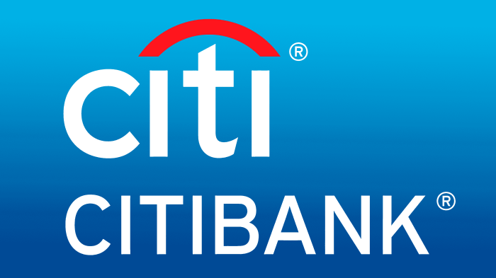 Citi bank student loans