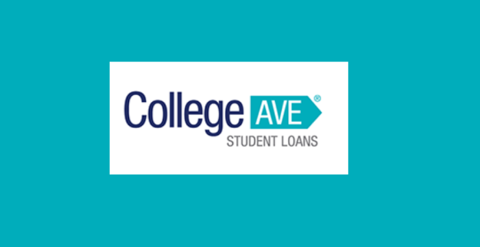 Loan loans Loan loans