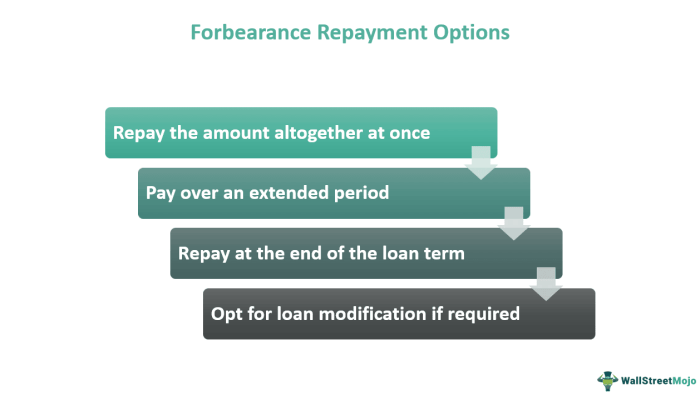 Forbearance student loans definition