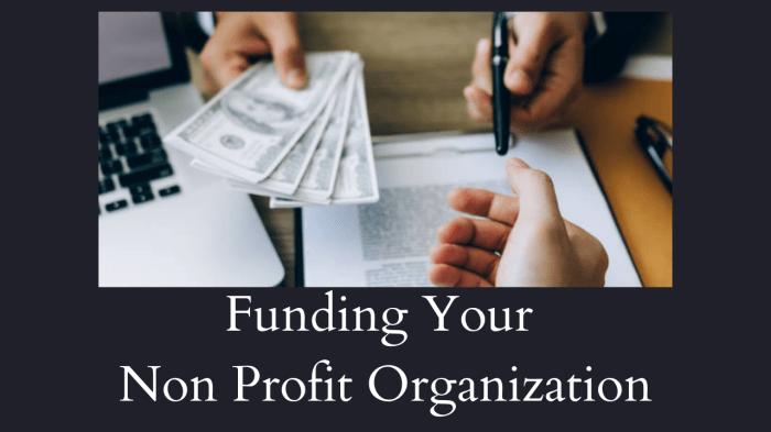 Non profit organizations and student loans