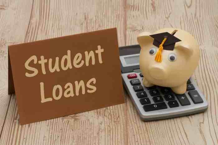 Do student loans need cosigners