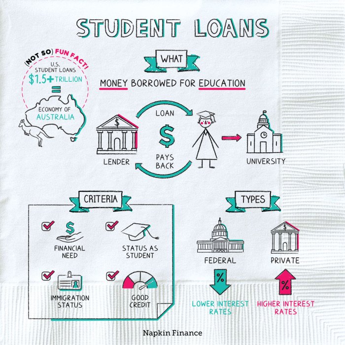 Loans student loan private federal sarkari subsidies limits definition get article