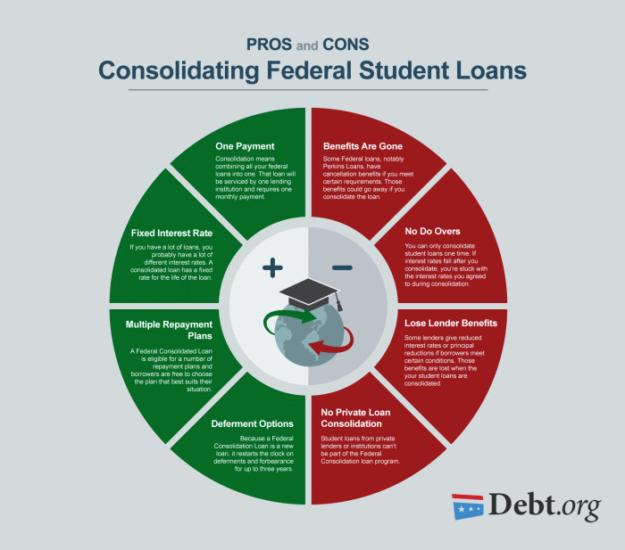 Student pros cons loans guide loan major types