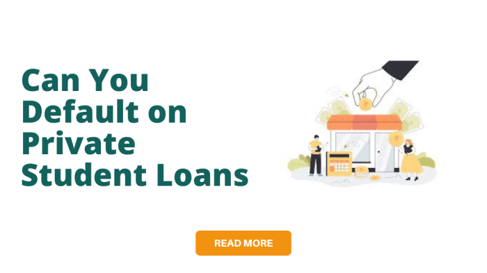 Loans defaulted consolidate definitive