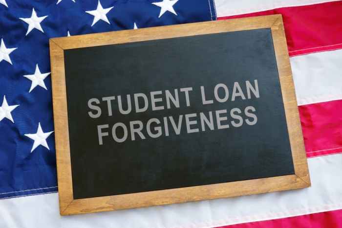 Loan student disability form