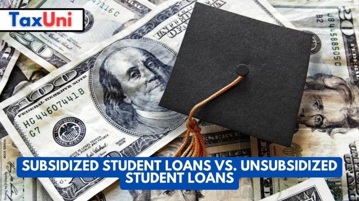 Can grad students get subsidized loans