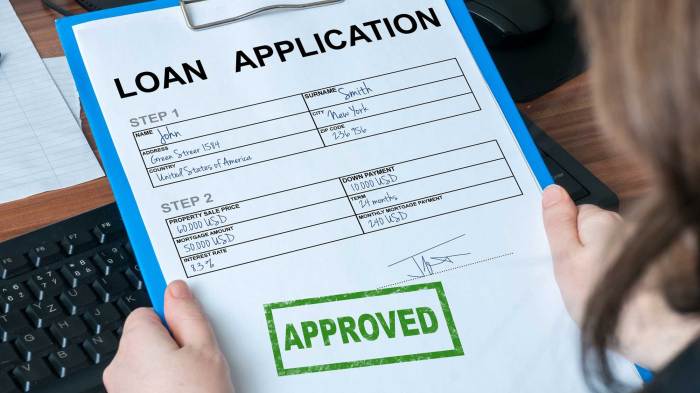 Student loan application online