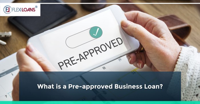 Pre approval student loans