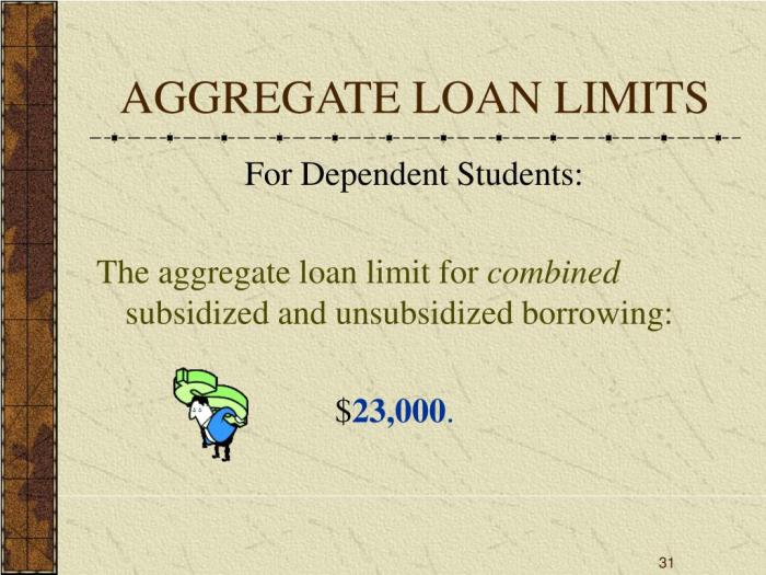 Loan limits undergraduate