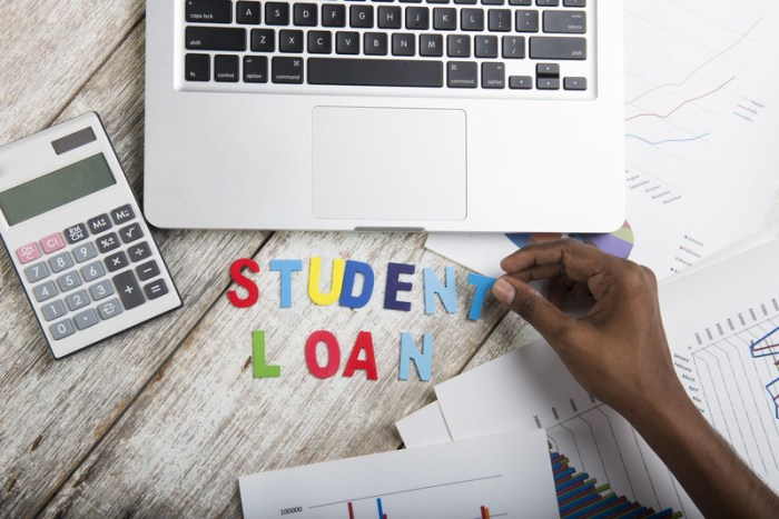 Debt loans