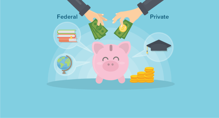Student loans private infographic loan federal vs shows features different lending college state government alike pay re help they but