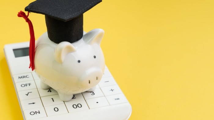 Repaye student loan plan