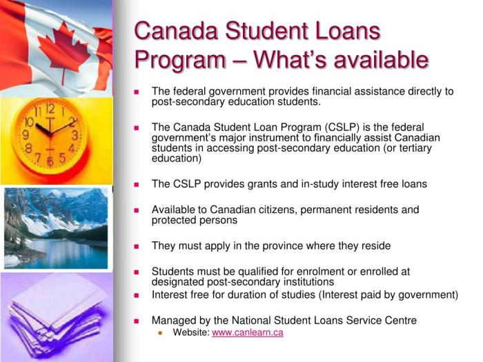 Programs that pay student loans