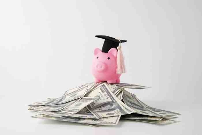 Interest rates student federal loan loans education yield curve school rate treasury department us graduate grad sources daily matter why