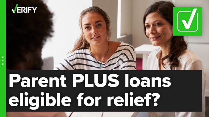 Student loan options parents lendedu