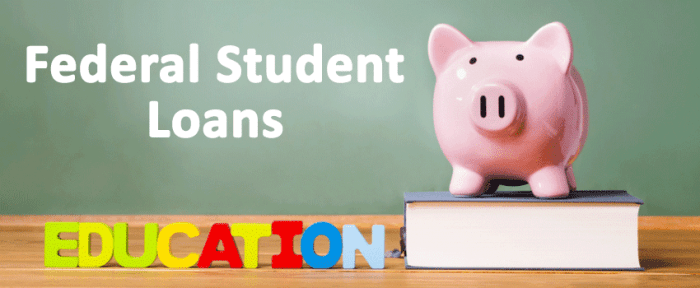 How do i get a federal student loan