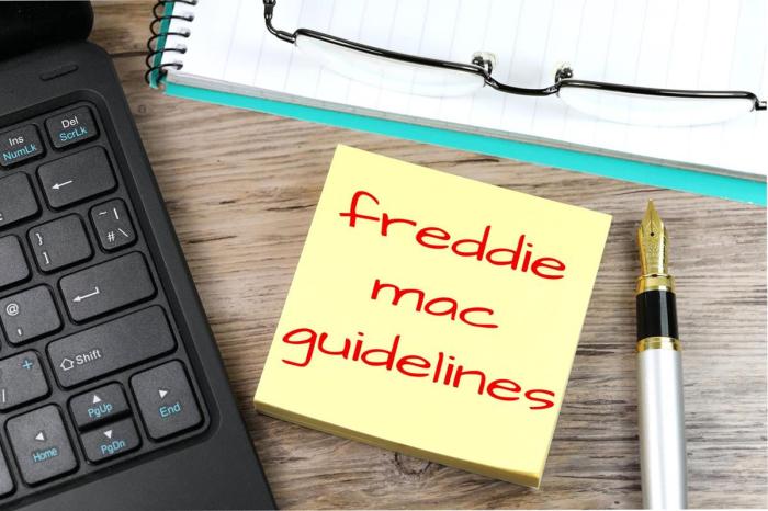 Freddie mortgage mac