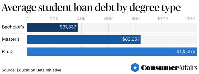Student loan totals