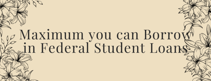 Limit for federal student loans