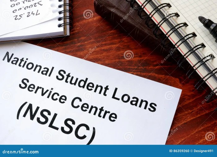 Direct student loan servicing center