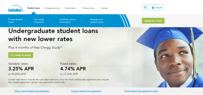 Loans loan