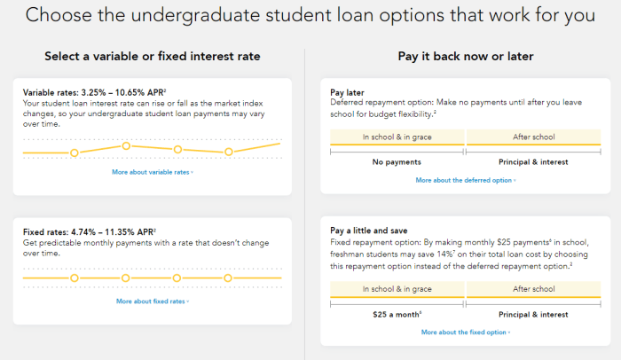 Student loans mae sallie private choose board loan