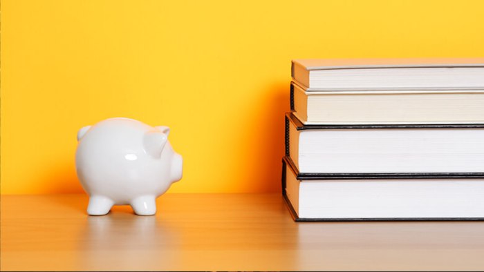 Loan limits for graduate students