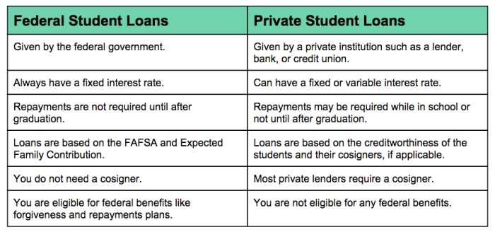 Student loans private infographic loan federal vs shows features different lending college state government alike pay re help they but