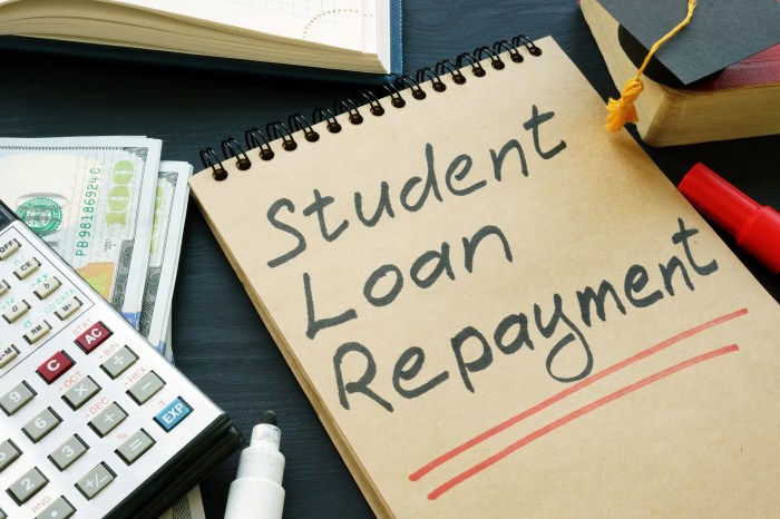 Federal student loans programs