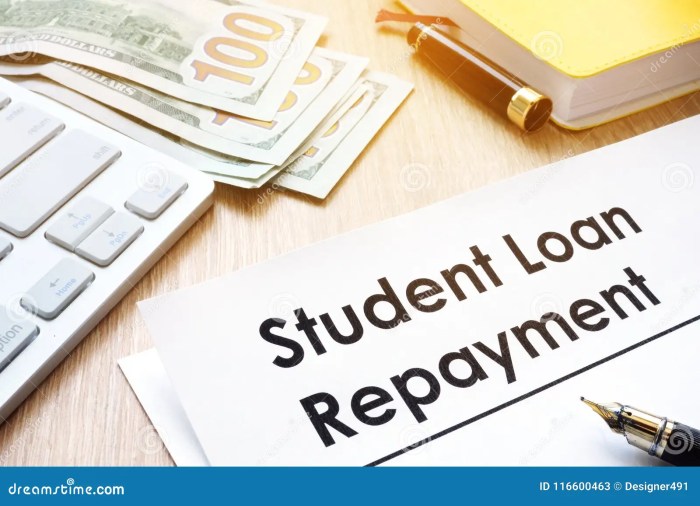 Standard repayment student plan plans loans ed gov source payment