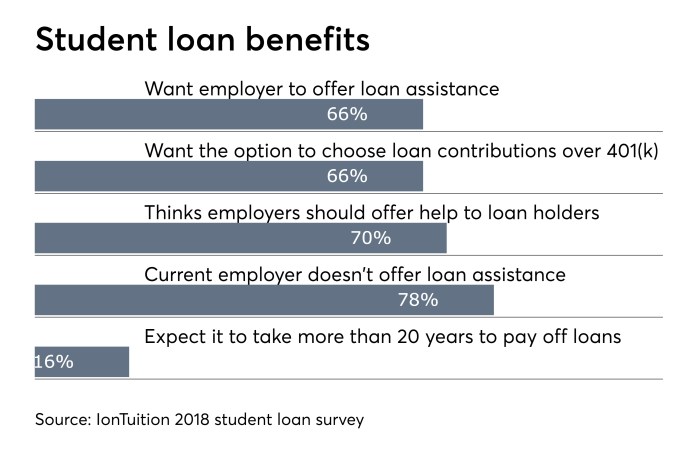 Loans to disadvantaged students