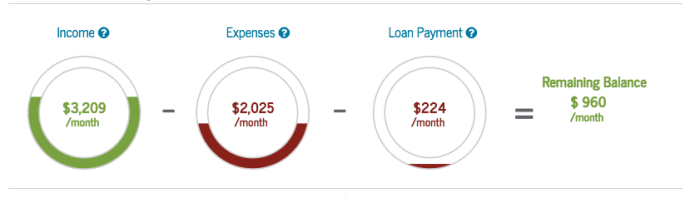 Direct plus student loans