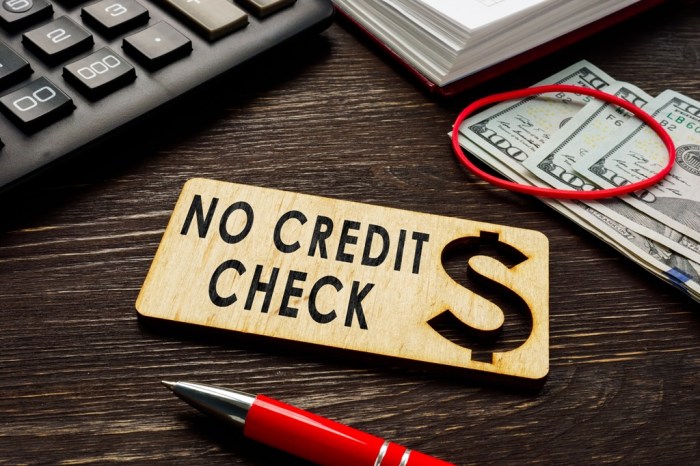 Private student loan no credit check