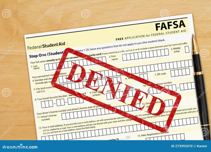 Loan denied mc1r parents applicant educational have can because asip scores unsatisfactory credit solely fact due application frontiersin