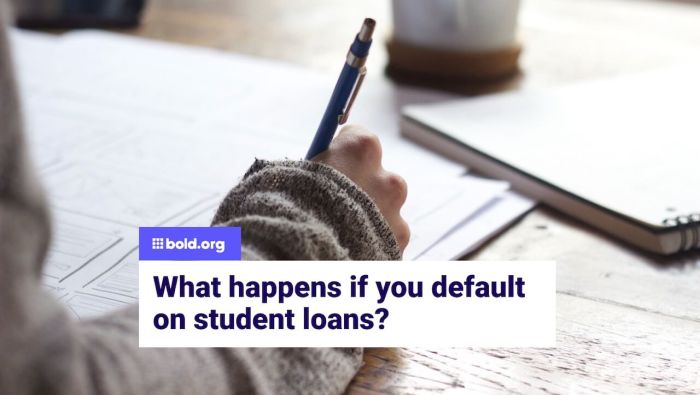 Do student loans go to collections