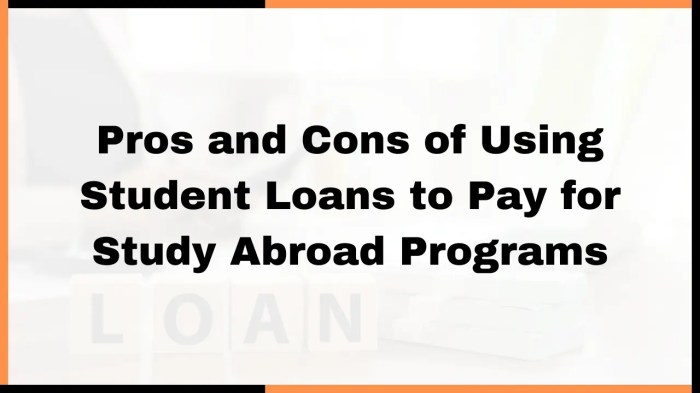 Disadvantages of student loans