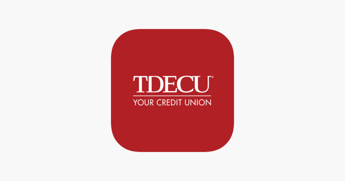 Tdecu student loans