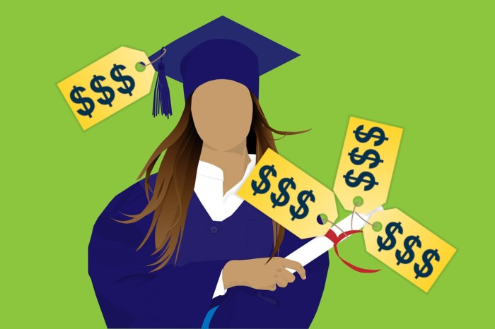 Additional student loan