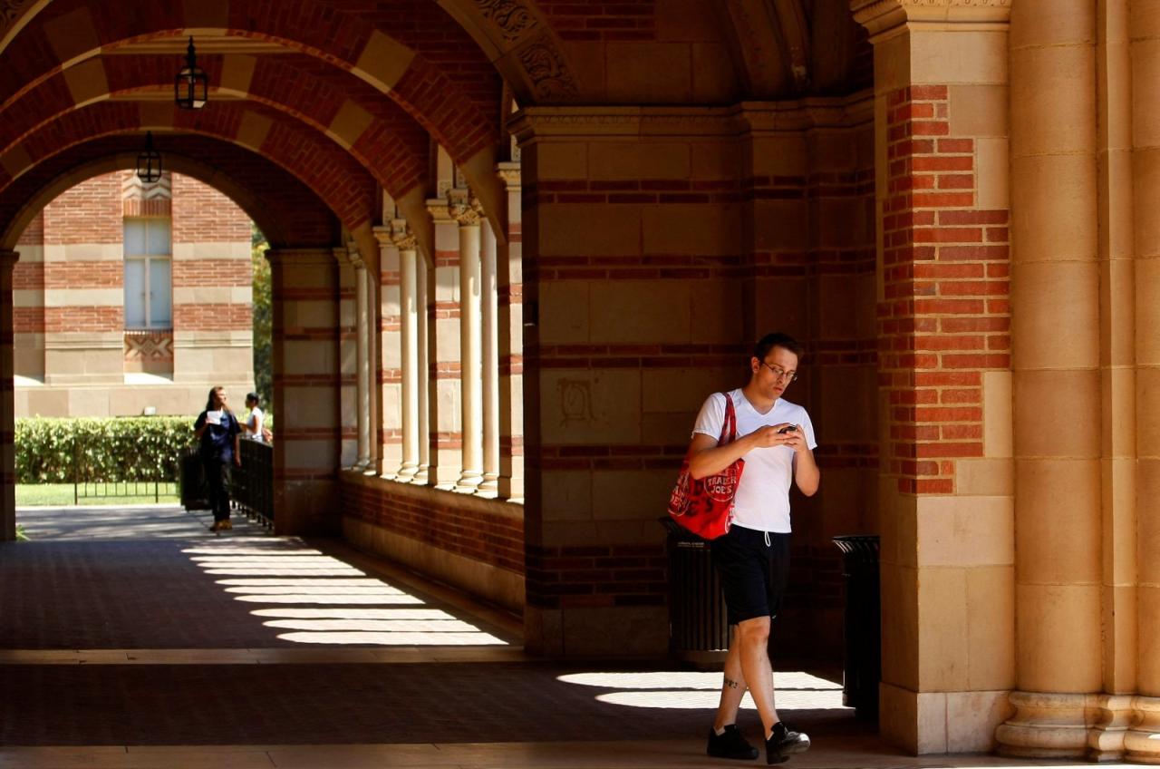 Ucla student loans