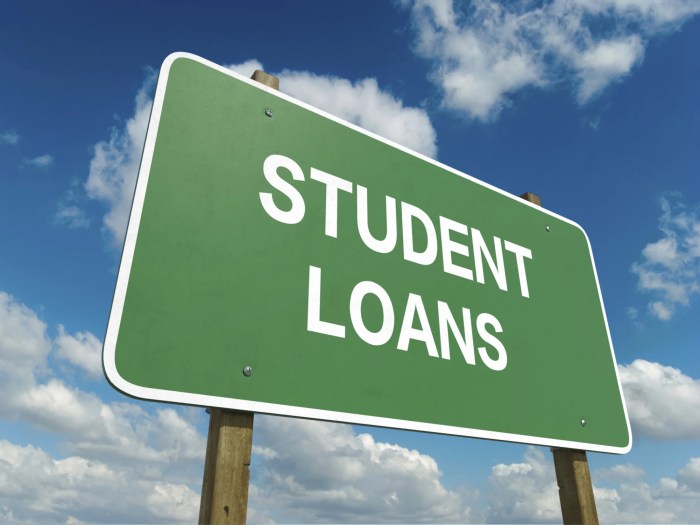 Loans disadvantages Loans disadvantages