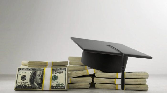 Cefcu student loans