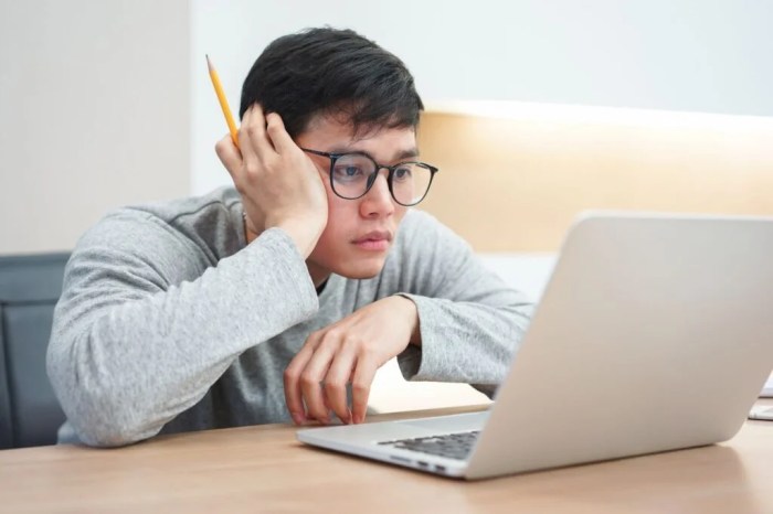 Capitalized loan loans