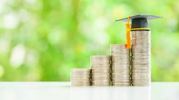 Credible student loan reviews