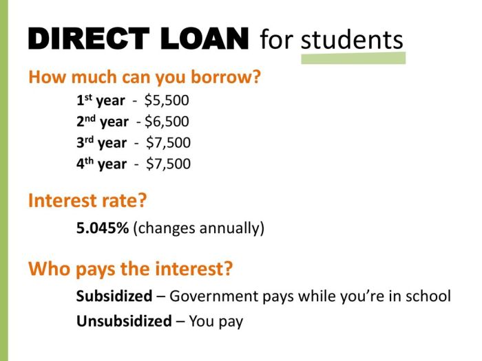 Student loans direct loan