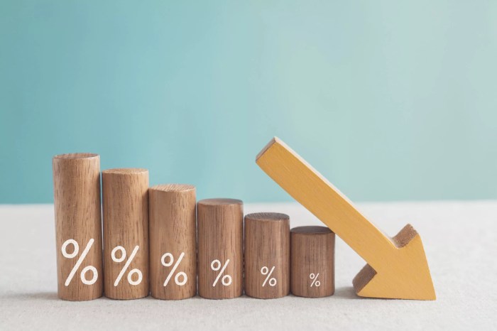 How to lower student loan interest rate