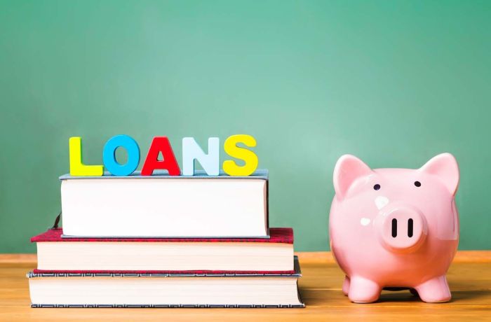 Alternative loans student