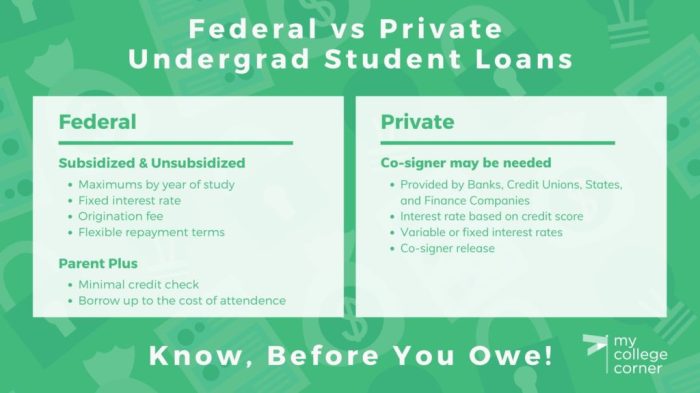 Student federal loans