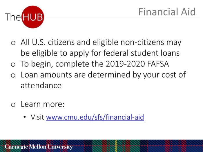 Student loans for non citizens