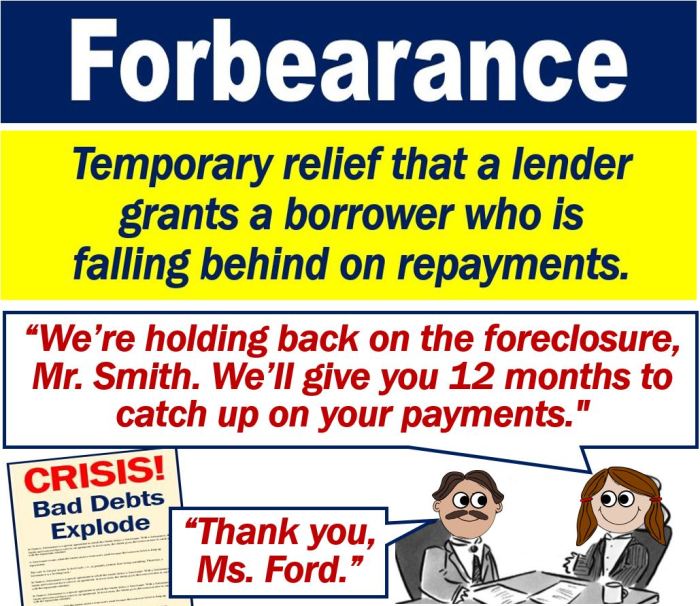 Define student loan forbearance